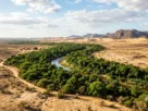 Paises Africanos plantam faixa verde para deter avanço do deserto?