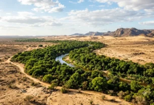 Paises Africanos plantam faixa verde para deter avanço do deserto?